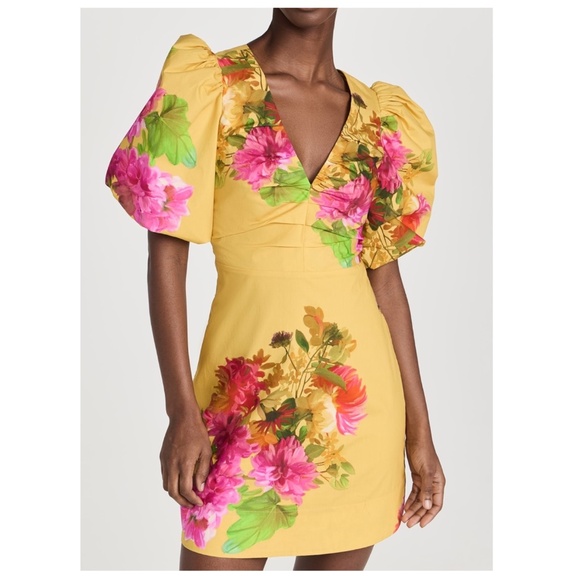 Cara Cara Aliza Yellow Floral Cream Gold Mini Dress Puff Sleeve - Size 4 - Picture 1 of 10